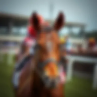 Key Factors Influencing Horse Racing Rankings Factors affecting horse racing rankings