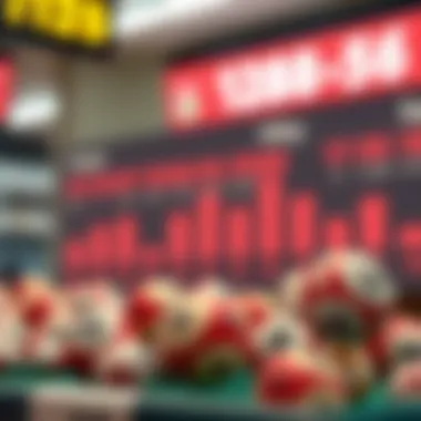 Statistical overview of lottery numbers